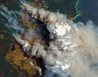 Молодежный экофестиваль состоялся в Петербурге на полях НМЭК